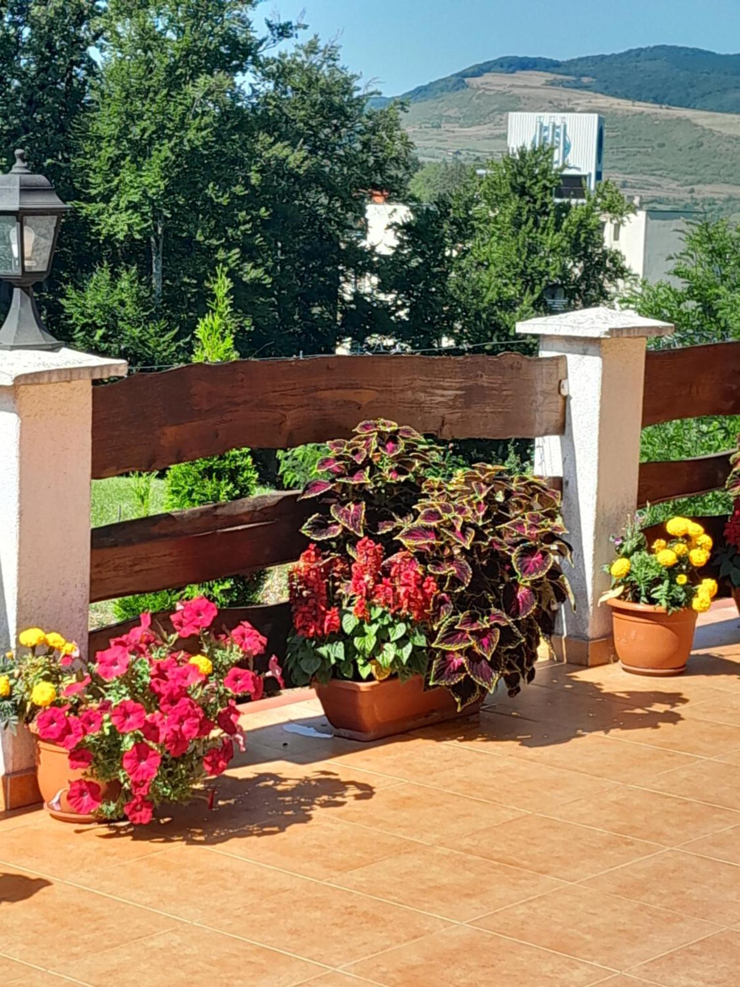 Hotel Casa Eldorado Sovata Exteriér fotografie